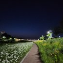 율곡천 5 이미지