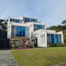 미씨엘로 | 안면도 스파 펜션 : 미씨엘로 펜션 (B동 스콜피온)