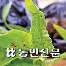 성모반점 - 창원시 마산합포구 중앙북3길 10 | 성모반점