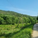 광시면010 이미지