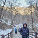 강촌스카이 이미지