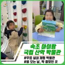 강원도산림박물관 | 속초 국립산악박물관｜아이랑 실내 가볼만한곳｜무료·체험·교육 한번에