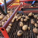 우두농장 이미지