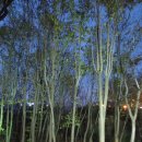 까치울역 2번 출구 이미지