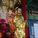 제주 정광사 소조미륵여래입상 이미지