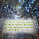 안의꽃사랑 | 오늘 사랑한 것 책 후기 림태주 | 품위 있는 죽음으로 마무리하려면 추천 리뷰 핵심 요약