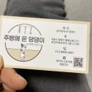 주방에 온 댕댕이 네이버블로그