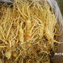 강화인삼협동조합 이미지