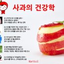 사과의 먹으면 좋은점 아침에 먹는 사과는 금 저녁에 먹는 사과도 독이 아닌 배변기능에 도움된다. 이미지