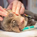 엔케어동물의료센터 이미지