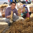 풍기인삼협동조합 - 경주시 | 풍기인삼협동조합