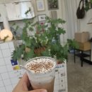 비엘디 - 부평구 서촌로 33 | [경기도 연천] 연천감성카페 "CAFE BLD" <카페BLD>