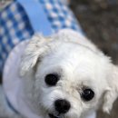 원동재로 이미지