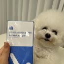 위드펫동물병원 미용실 | [반려동물 발톱깍이] 집에서 쓰기 편한 올스텐 수린펫 강아지 발톱깍이 후기