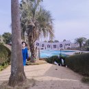 씨유대변바다점 | 제주 켄싱턴 서귀포 리조트 프리미어 디럭스 오션뷰 리얼후기
