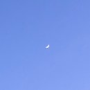 선상바베큐 이미지