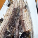 금장 참가자미회 이미지