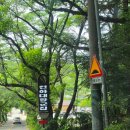 대장군집 - 김포시 김포한강9로75번길 16 | 부산 금정산성 맛집 오리고기 도장깨기,천하대장군집 솔직후기