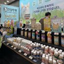 고양이 팔경 캣스쿨 | 대전 고양이 박람회 궁디팡팡 캣페스타 DAEJEON 첫날 방문 후기
