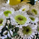 토탈장례 운송사업 이미지