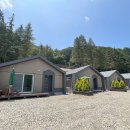 숲속의 집 이미지