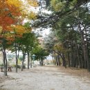 척산온천장 이미지