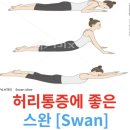 스완SWAN