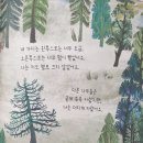 한그루나무에듀