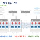 그린플럼