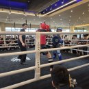 [당진싸비MMA] SFS 킥복싱대회 참가 후기