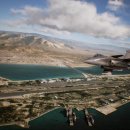 도그 에이스 이미지