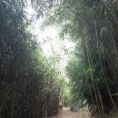 제암산자연휴양림 식당 이미지