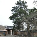 도산서당(道山書堂) Daum카페