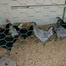 청계모텔 이미지