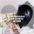 동그랑댕 | 강아지화식 습식사료로 유명한 듀먼 자연화식, 한입동그랑댕 급여후기