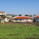 상모리-17 이미지