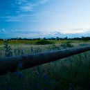 미주목장 이미지