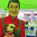 사라 양한방 동물병원 이미지