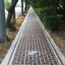 밀양대로 이미지