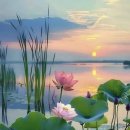 연신유도체육관 이미지