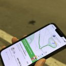 노보텔 | 태교여행 푸꾸옥 중부 숙소 노보텔 리조트 후기 가져옴 (수영장, 조식 등 장단점)