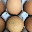 호암농장2 이미지