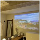 스테이 보다 이미지