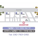 도그스타 이미지