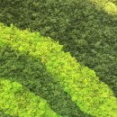 지평선 새마루 이미지