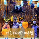 용원렘포레 이미지