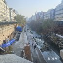 상추 재배 이미지