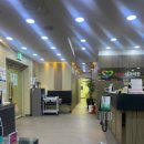 빅토리아한방병원 | 🌸25년-26년도 절기 독감예방접종 후기 (독감예방접종 한방정리, 오해와 진실)