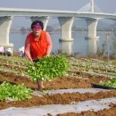 늘푸른농장 이미지