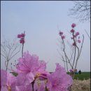 풍천여관 이미지